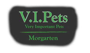 V.I.Pets Morgarten - Hundepension